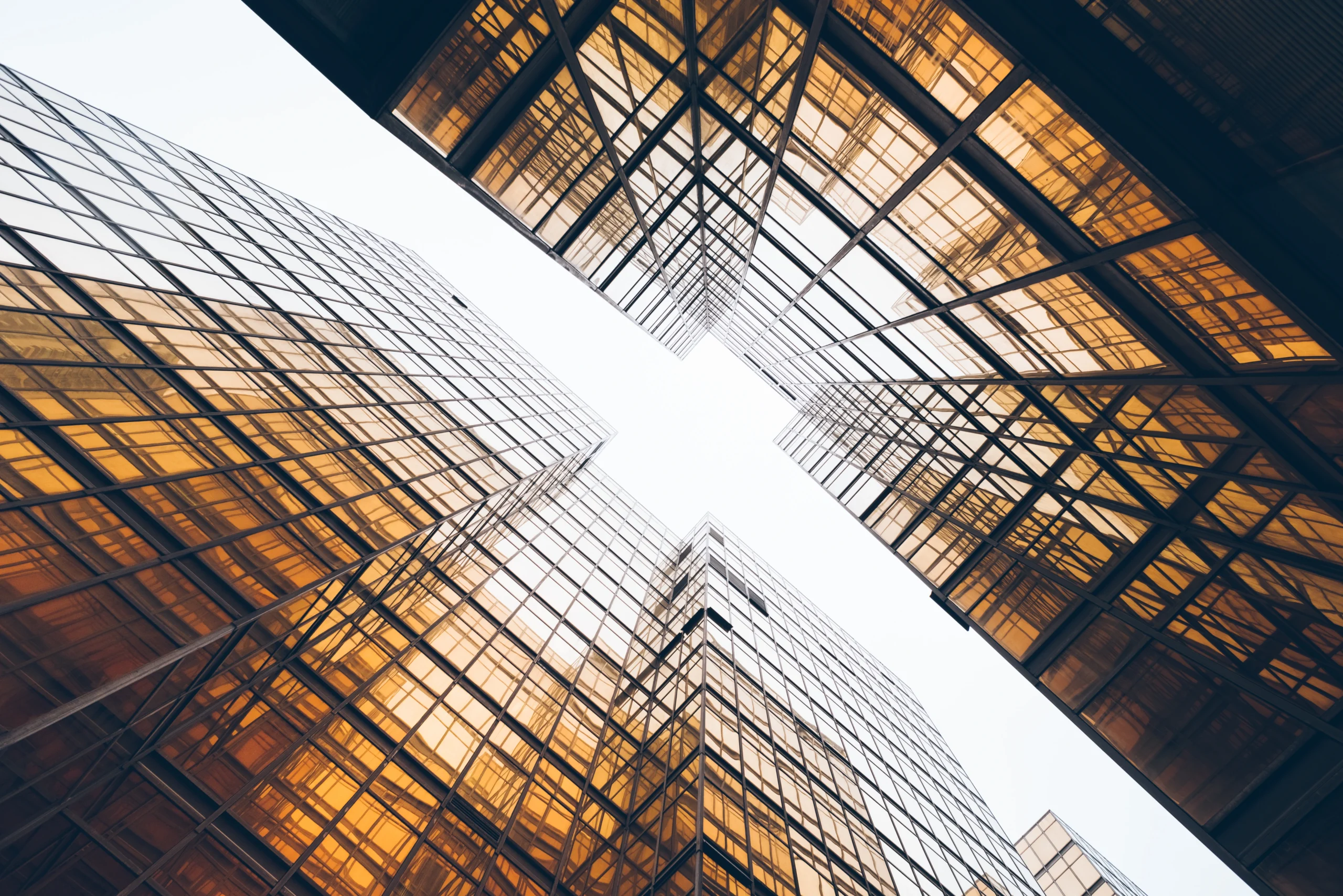 Image hover effect image